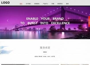 响应式成品案例站No:802