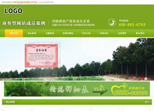 商务型成品案例站No:8326