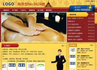 商务型成品案例站No:8824